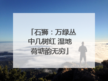 石狮：万绿丛中几树红 湿地荷塘韵无穷