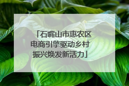 石嘴山市惠农区电商引擎驱动乡村振兴焕发新活力