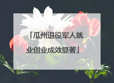 瓜州退役军人就业创业成效显著