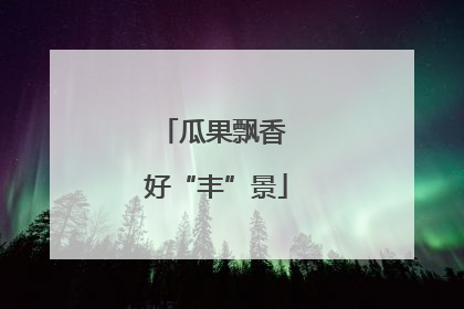瓜果飘香 好“丰”景