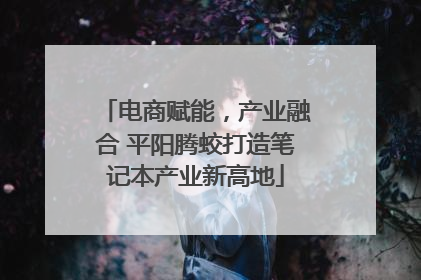 电商赋能，产业融合 平阳腾蛟打造笔记本产业新高地