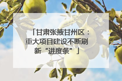甘肃张掖甘州区：重大项目建设不断刷新“进度条”