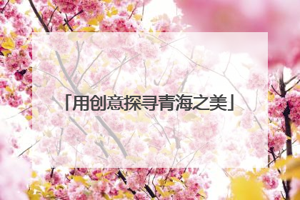 用创意探寻青海之美
