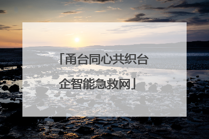 甬台同心共织台企智能急救网