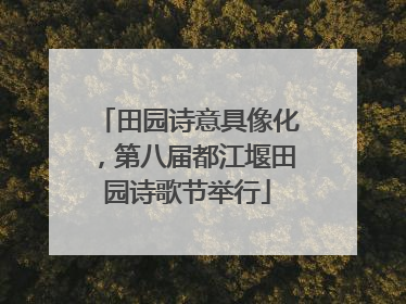 田园诗意具像化，第八届都江堰田园诗歌节举行