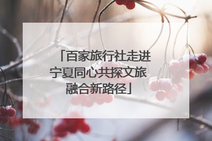 百家旅行社走进宁夏同心共探文旅融合新路径