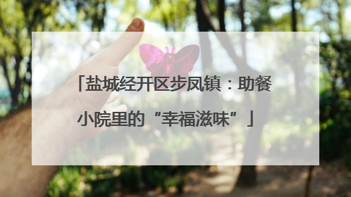 盐城经开区步凤镇：助餐小院里的“幸福滋味”