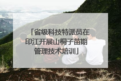 省级科技特派员在印江开展山桐子苗期管理技术培训