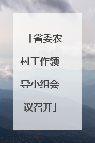 省委农村工作领导小组会议召开