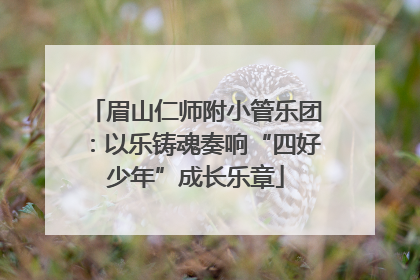 眉山仁师附小管乐团：以乐铸魂奏响“四好少年”成长乐章