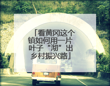 看黄冈这个镇如何用一片叶子“沏”出乡村振兴路