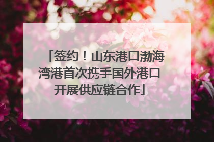 签约！山东港口渤海湾港首次携手国外港口开展供应链合作