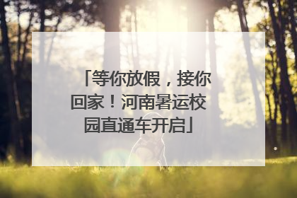 等你放假，接你回家！河南暑运校园直通车开启