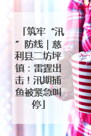 筑牢“汛”防线｜慈利县二坊坪镇：雷霆出击！汛期捕鱼被紧急叫停