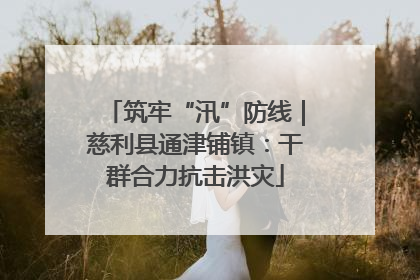 筑牢“汛”防线｜慈利县通津铺镇：干群合力抗击洪灾