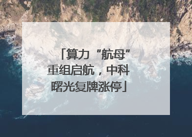算力“航母”重组启航，中科曙光复牌涨停