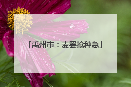 禹州市：麦罢抢种急