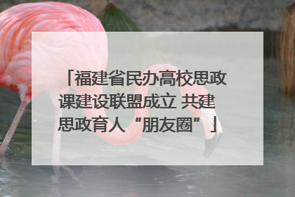 福建省民办高校思政课建设联盟成立 共建思政育人“朋友圈”