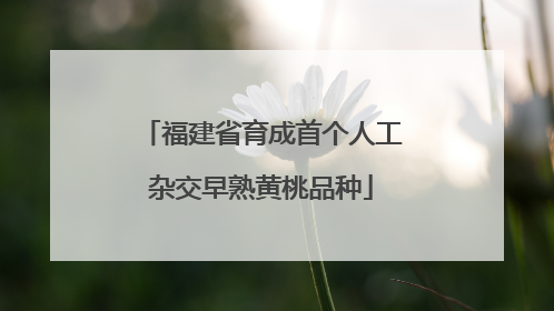 福建省育成首个人工杂交早熟黄桃品种