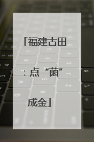 福建古田：点“菌”成金