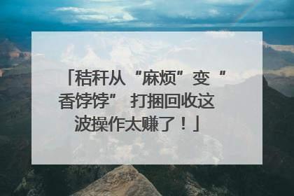 秸秆从“麻烦”变“香饽饽” 打捆回收这波操作太赚了！