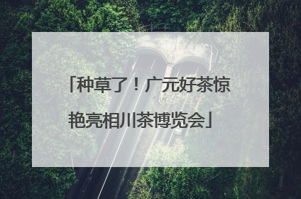 种草了！广元好茶惊艳亮相川茶博览会