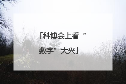 科博会上看“数字”大兴