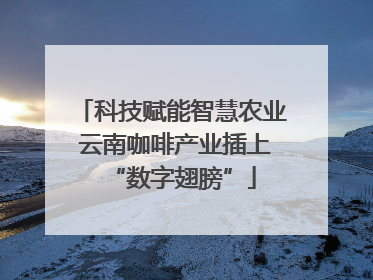 科技赋能智慧农业 云南咖啡产业插上“数字翅膀”