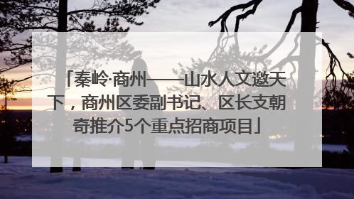 秦岭·商州——山水人文邀天下，商州区委副书记、区长支朝奇推介5个重点招商项目