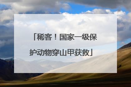 稀客！国家一级保护动物穿山甲获救