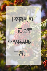 空降利刃——记空军空降兵某旅三营