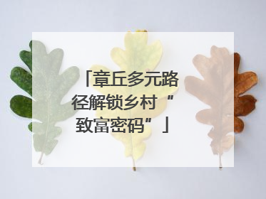 章丘多元路径解锁乡村“致富密码”