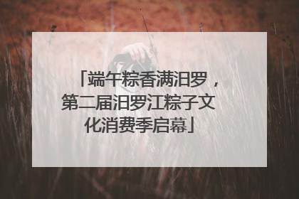 端午粽香满汨罗，第二届汨罗江粽子文化消费季启幕