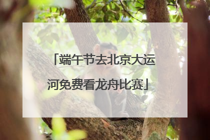 端午节去北京大运河免费看龙舟比赛
