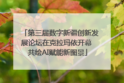 第三届数字新疆创新发展论坛在克拉玛依开幕 共绘AI赋能新图景