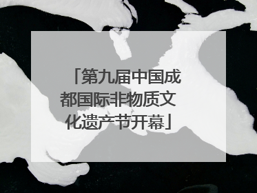 第九届中国成都国际非物质文化遗产节开幕