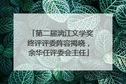 第二届漓江文学奖终评评委阵容揭晓，余华任评委会主任