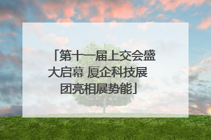 第十一届上交会盛大启幕 厦企科技展团亮相展势能