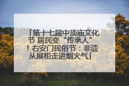 第十七届中顶庙文化节 居民变“传承人”！右安门民俗节：非遗从展柜走进烟火气