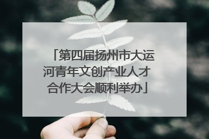 第四届扬州市大运河青年文创产业人才合作大会顺利举办