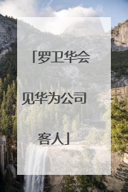 罗卫华会见华为公司客人