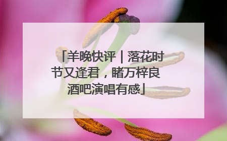羊晚快评｜落花时节又逢君，睹万梓良酒吧演唱有感