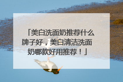 美白洗面奶推荐什么牌子好，美白清洁洗面奶哪款好用推荐！