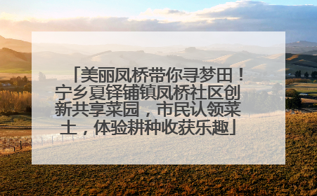 美丽凤桥带你寻梦田！宁乡夏铎铺镇凤桥社区创新共享菜园，市民认领菜土，体验耕种收获乐趣