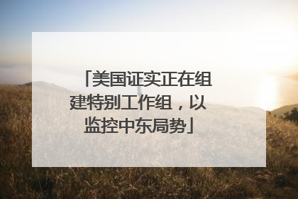 美国证实正在组建特别工作组，以监控中东局势