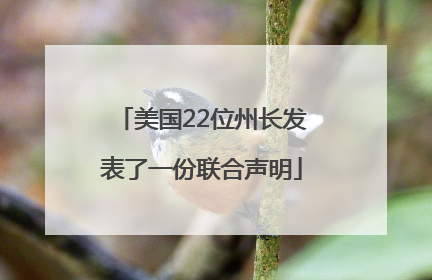美国22位州长发表了一份联合声明