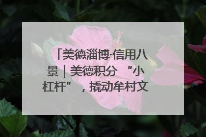 美德淄博·信用八景｜美德积分 “小杠杆”，撬动牟村文明 “大能量”