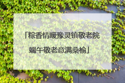 粽香情暖豫灵镇敬老院 端午敬老意满桑榆