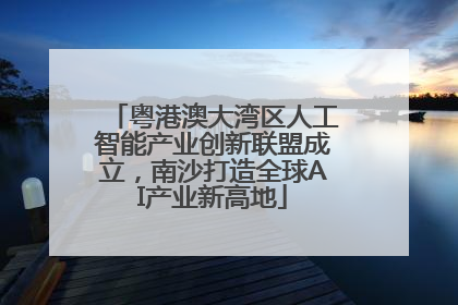 粤港澳大湾区人工智能产业创新联盟成立，南沙打造全球AI产业新高地