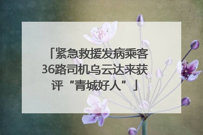 紧急救援发病乘客 36路司机乌云达来获评“青城好人”
